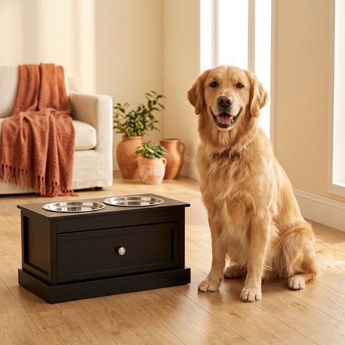 Golden retriever sitting beside elevated black dog feeding station with storage drawer and stainless steel bowls