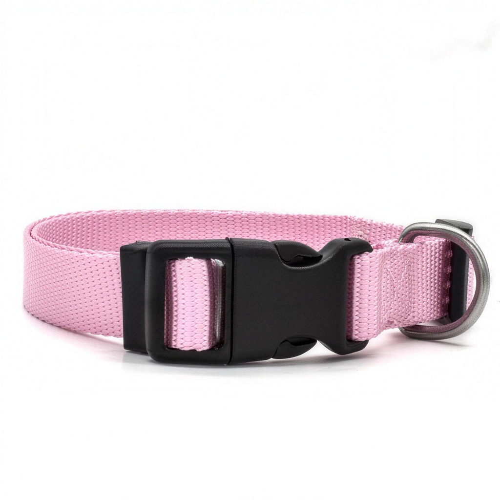Classic Quick-Release Dog & Cat Collar