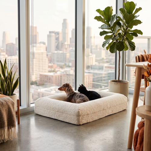 Bouclé Memory Foam Dog Bed — Waterproof, Washable Cover