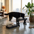 Adjustable Folding Pet Feeder — Elevated Double Bowl Stand